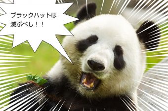 パンダアップデート