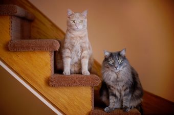 オウンドメディア企画5つのステップ